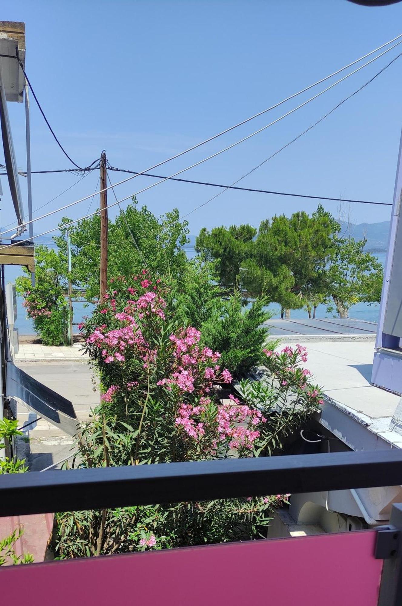 Okeania Seafront Rooms In Kamena Vourla Luaran gambar